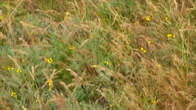 K-Studio - Эх, дороги... смотреть онлайн