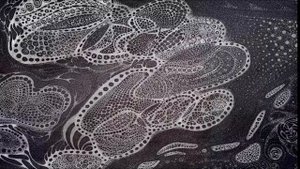 Дилеммы Эго-Авторитета у Проектора.