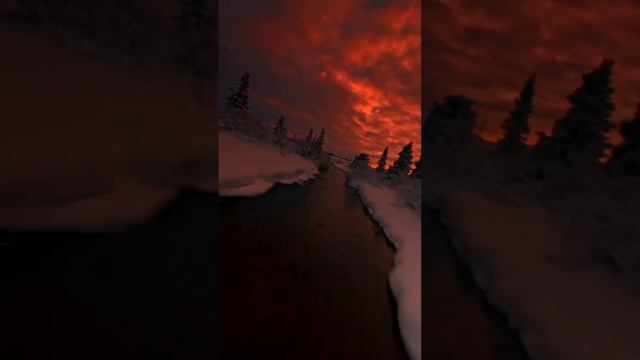 Чем мудрее человек, тем меньше ему хочется выяснять отношения с дураками. Хочется просто встать