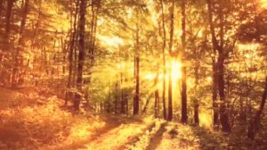 Восход солнца