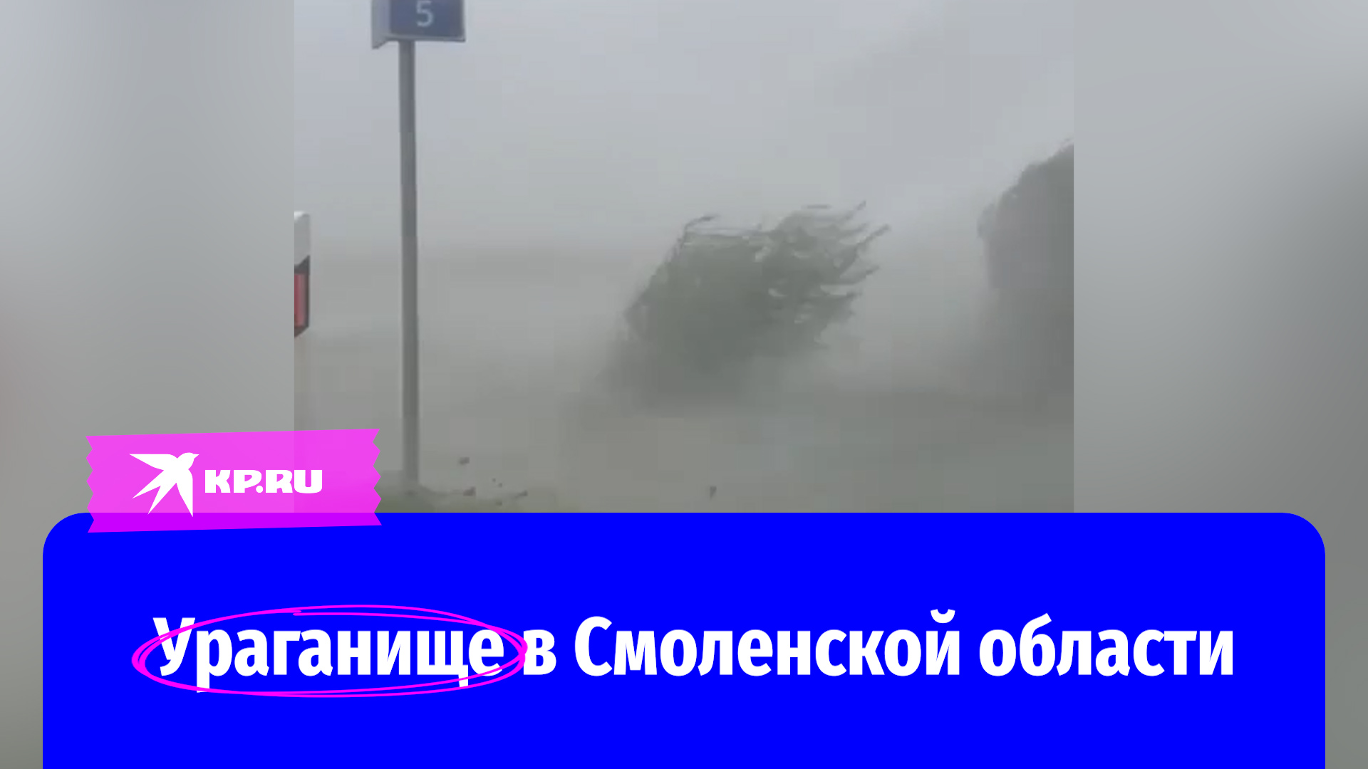 Ураган пронёсся по Смоленской области