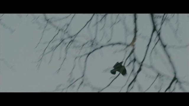 Тренды фотоиндустрии 2020 года. Что дальше? смотреть онлайн