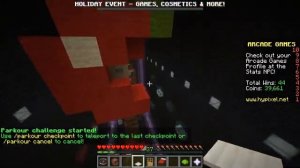 Minecraft Java Stream