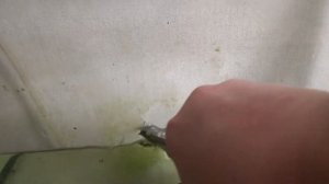 Перезапуск аквариума часть 1