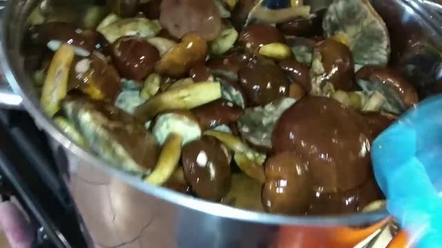 Сушу, варю, жарю и маринуют :) Что сделала с грибами смотреть онлайн