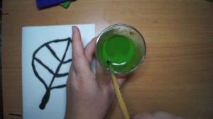 Волшебный листик. Опыт с пипеткой.