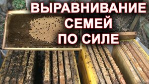 Выравнивание семей по силе.