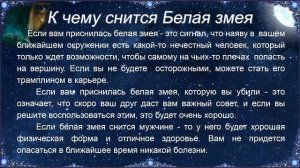 К чему снится Белая змея – толкование сна по Соннику