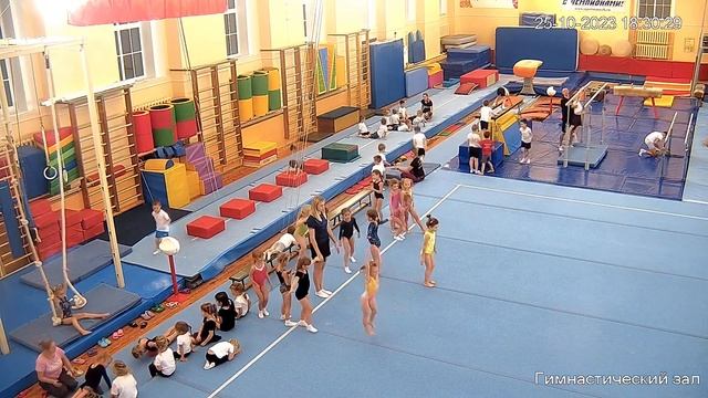 Спортивная гимнастика смотреть онлайн