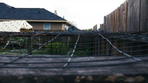 Panasonic G7 (GH4) test footage 4k