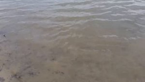 Река Дон Волгоградской обл.