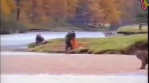 Как медведь с человеком дрался