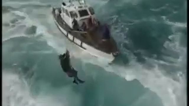 Сотрудник маяка идёт в отпуск...