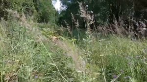 Вдвоем в лесу. Тестирование легкоходного снаряжения.