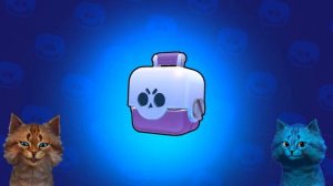 ОТКРЫВАЕМ ПОДАРКИ В БРАВЛ СТАРС (Brawl Stars) Весёлый Кот и КОТЁНОК ЛАЙК