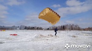 Козлёнка пристроила ,с собаками в сосновом лесу погуляла.