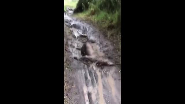 ЛЕЧЕБНАЯ ГРЯЗЬ ??