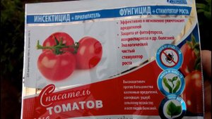 ??ВАЖНАЯ ОБРАБОТКА ТОМАТОВ ОТ БОЛЕЗНЕЙ И ВРЕДИТЕЛЕЙ