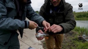 Анонс. Рыбалка за рулем. 3 сезон.