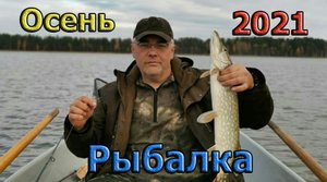 Ловля щуки и окуня на кружки поздней осенью