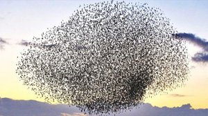 дано мне жало в плоть, ангел сатаны, удручать меня, чтобы я не превозносился откровениями