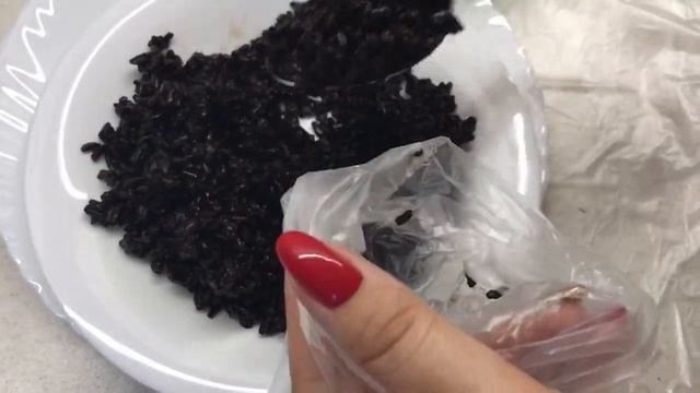 Заготовка еды // рис // еда впрок смотреть онлайн