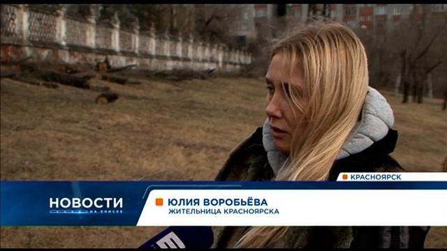 Красноярцев шокировал массовый спил деревьев у Троицкого кладбища смотреть онлайн