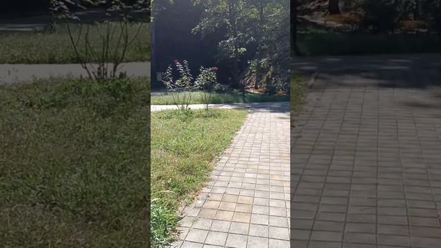 Минеральная поляна/ Горячий Ключ смотреть онлайн