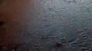 река Урка, Амурская область