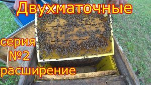 ДВУХМАТОЧНЫЕ! Расширение  Серия №2  Дождались дождя!