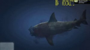 GTA 5 Акула - Shark I5 3450 MSI R9 280X