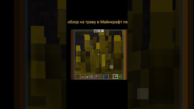 Обзор на траву #майнкрафт #shorts #minecraft смотреть онлайн