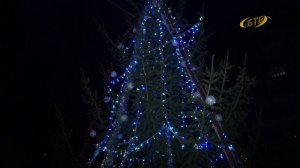 Вокруг ёлки хоровод