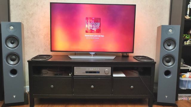 Опыт использования Focal Chora 816(короткая версия)