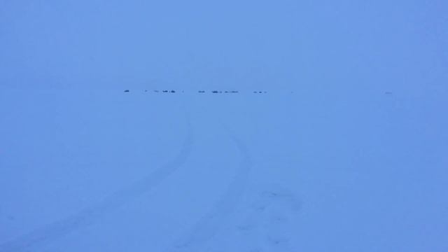 Загрузил изменённое видео.  #клёваярыбалка #рыбалканабайкале #рыбалканаомуля #омуль #Байкал