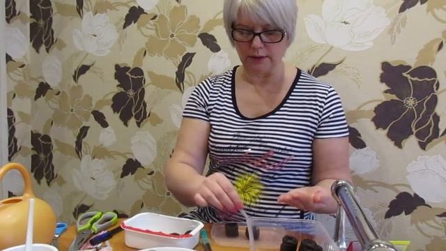 Начинаю посев эустомы 26.12.17. смотреть онлайн