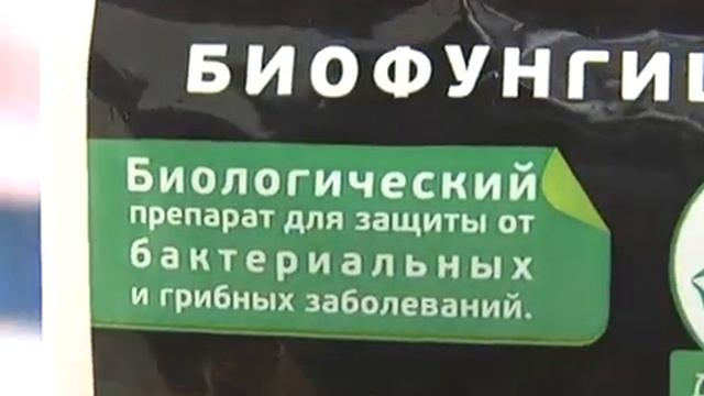 Увядания и высыхание на отдельных ветках, борьба вредителей на овощных культурах смотреть онлайн