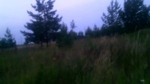 ПЫТАЮСЬ ПОЙТИ НА РЫБАЛКУ И ХОЖУ В ТРУСАХ НА ДАЧЕ