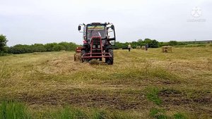 Косим, прессуем, возим сено