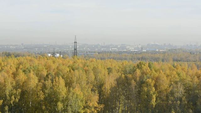 Почему родителям сложно с детьми, а детям с родителями