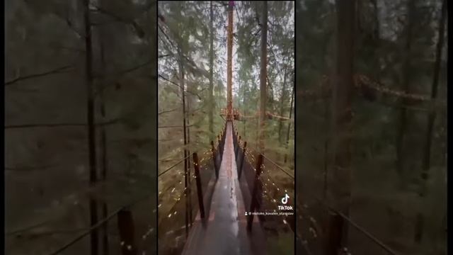 Мотивация 

#футаж #шортс #shorts #lifestyle #любовь #романтика смотреть онлайн