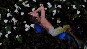 Anthurium mermaids series