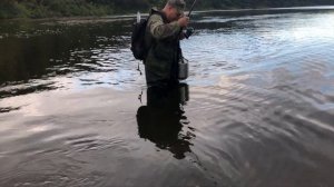 Рыбалка. Ловля язя на реке Ижма, хороший клеёв.