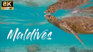 Maldives in 8K - Подводный мир Индийского океана