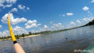 Рыбалка на реке Дон . Первые Сазаны 12 июня . Открытие сезона .
