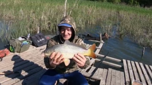 САЗАНЫ РВУТ В КЛОЧЬЯ  ПОВОДКИ И УТАСКИВАЮТ УДИЛИЩЕ. ЛОВЛЯ САЗАНА ВЕСНОЙ. РЕКА ДОН.