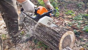 Stihl MS170(14") Vs. Diófa | UHD