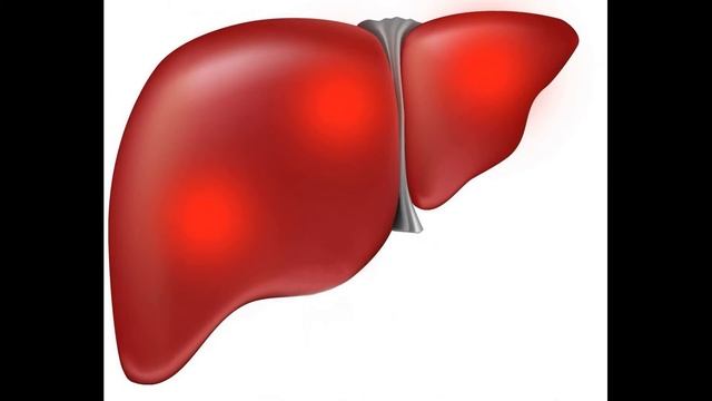 Научно-познавательная сказка "Лимфы. Тайны внутреннего мира" Глава 14 смотреть онлайн