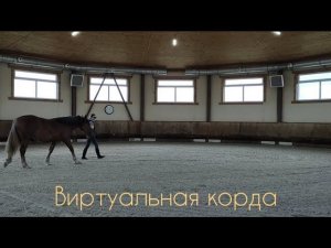 Виртуальная корда