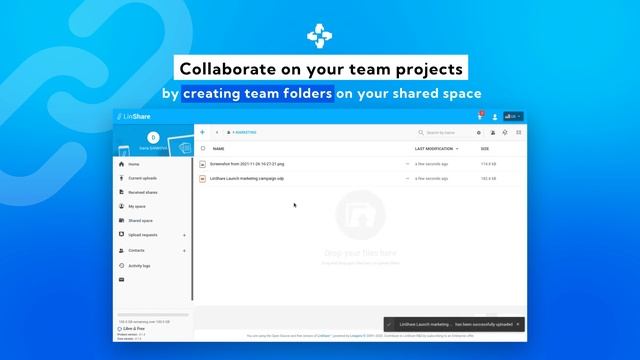 LinShare introduction смотреть онлайн